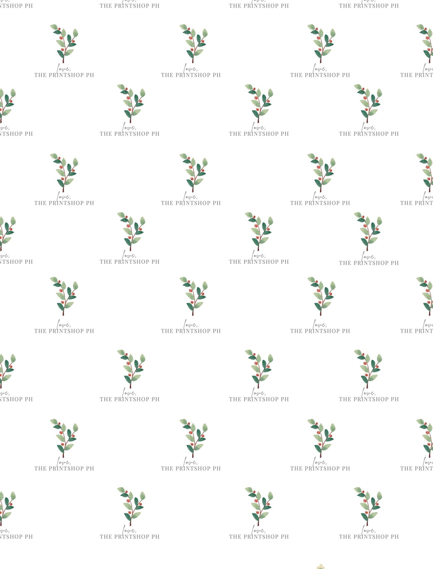 FP14-C | Gift Wrappers