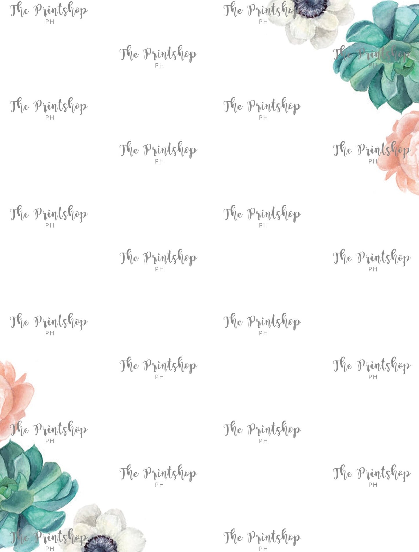 FP19 | Gift Wrappers